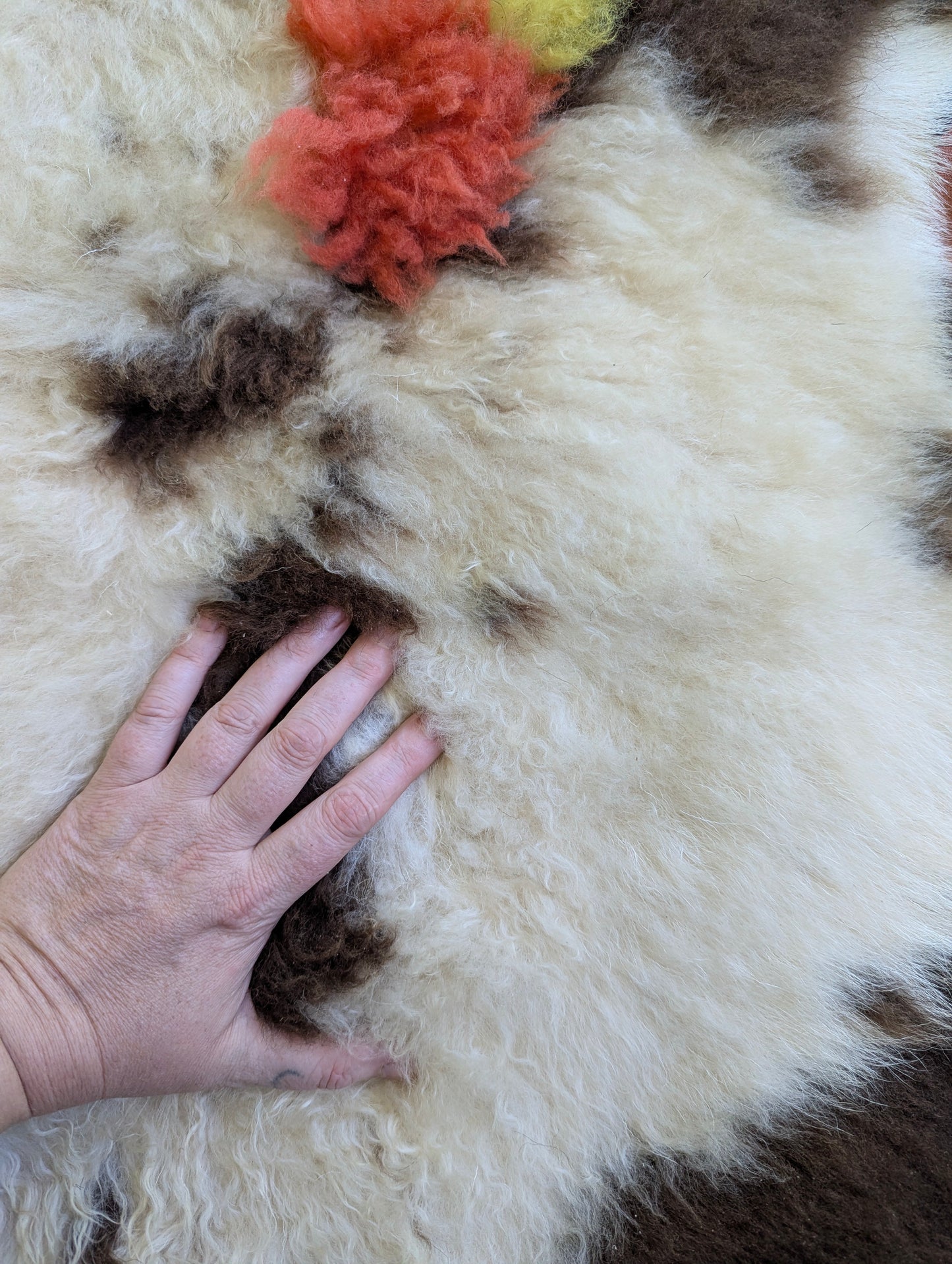 Sheepskin #5 - 20" x 29"