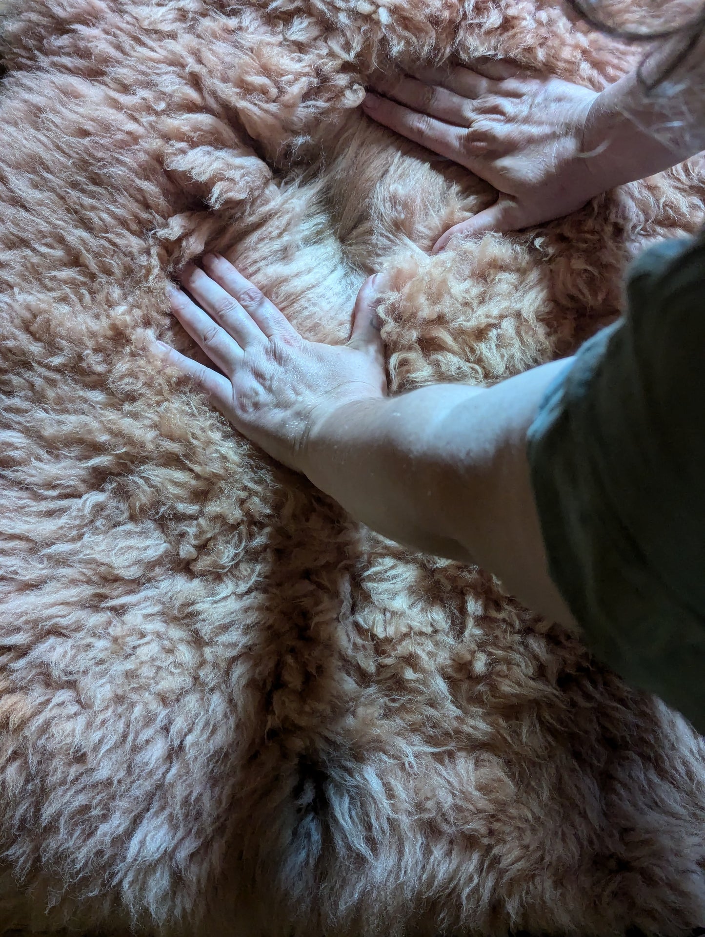 Sheepskin #3 - 26" x 28" madder
