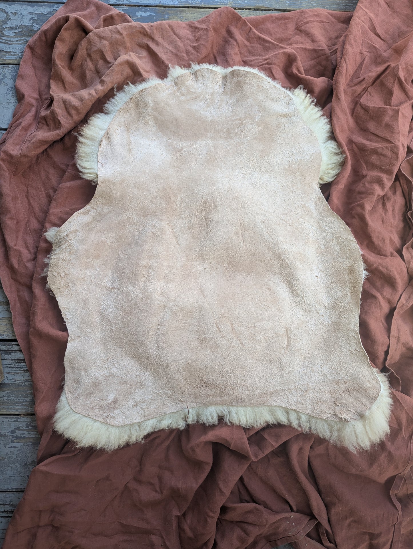 Sheepskin #4 - 23" x 27"