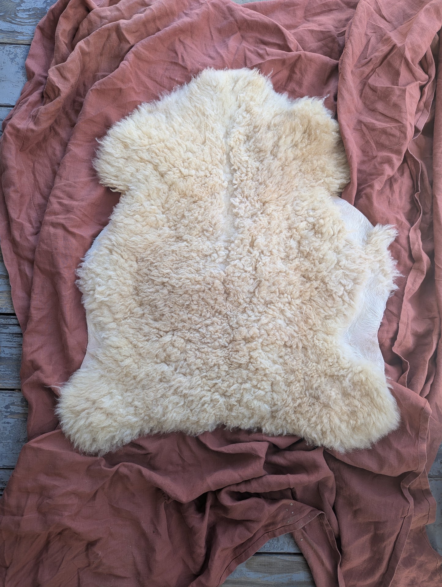 Sheepskin #4 - 23" x 27"