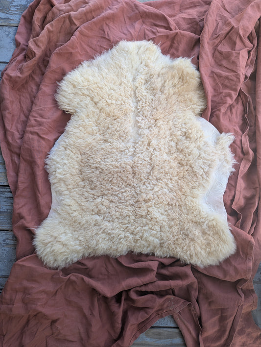 Sheepskin #4 - 23" x 27"