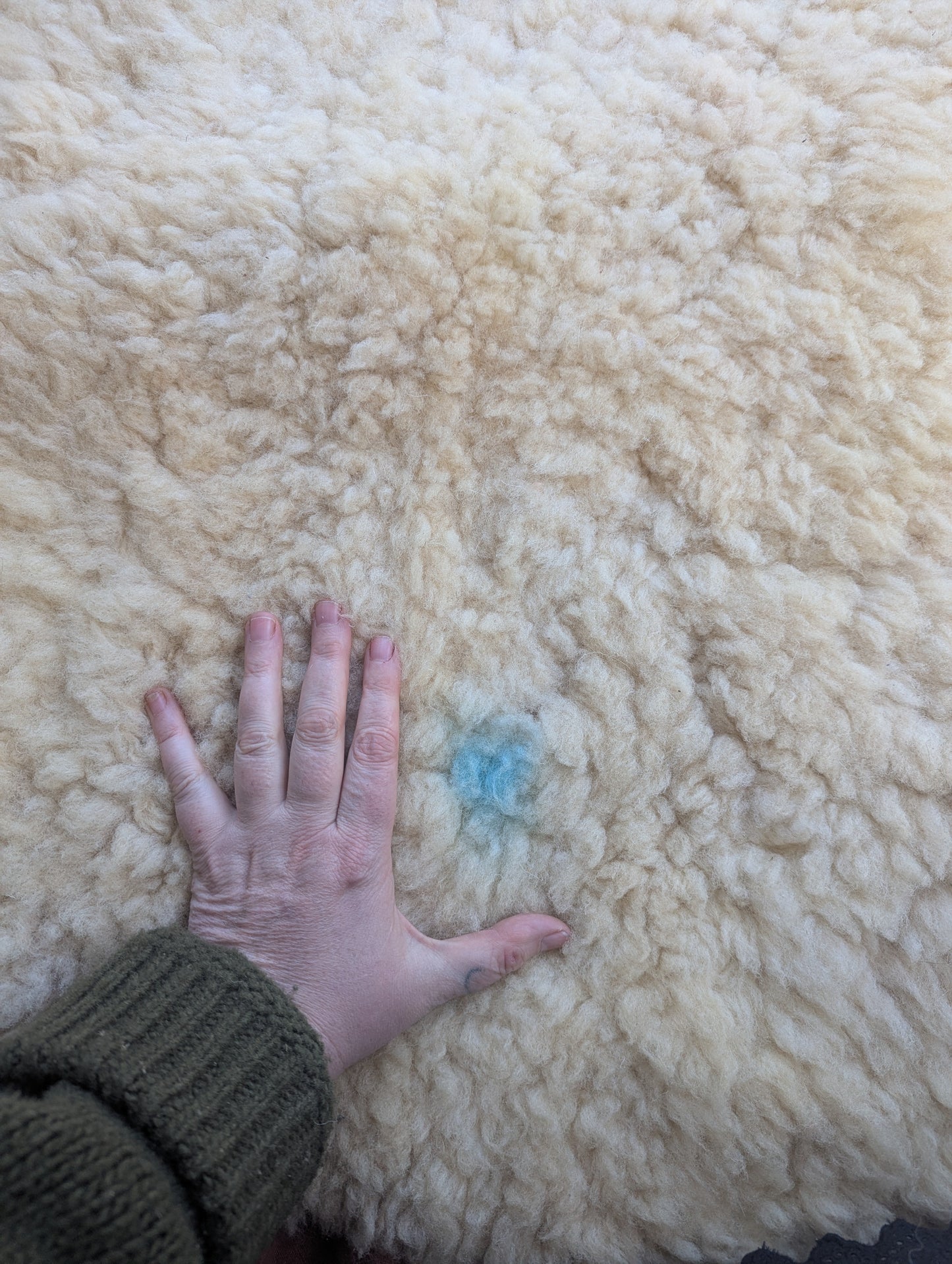 Sheepskin #5 - 22" x 34"