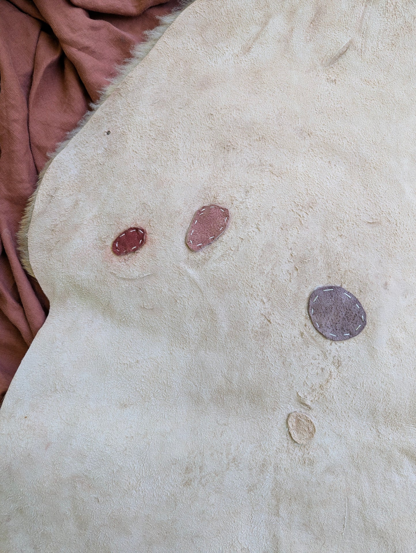 Sheepskin #6 - 18" x 28"