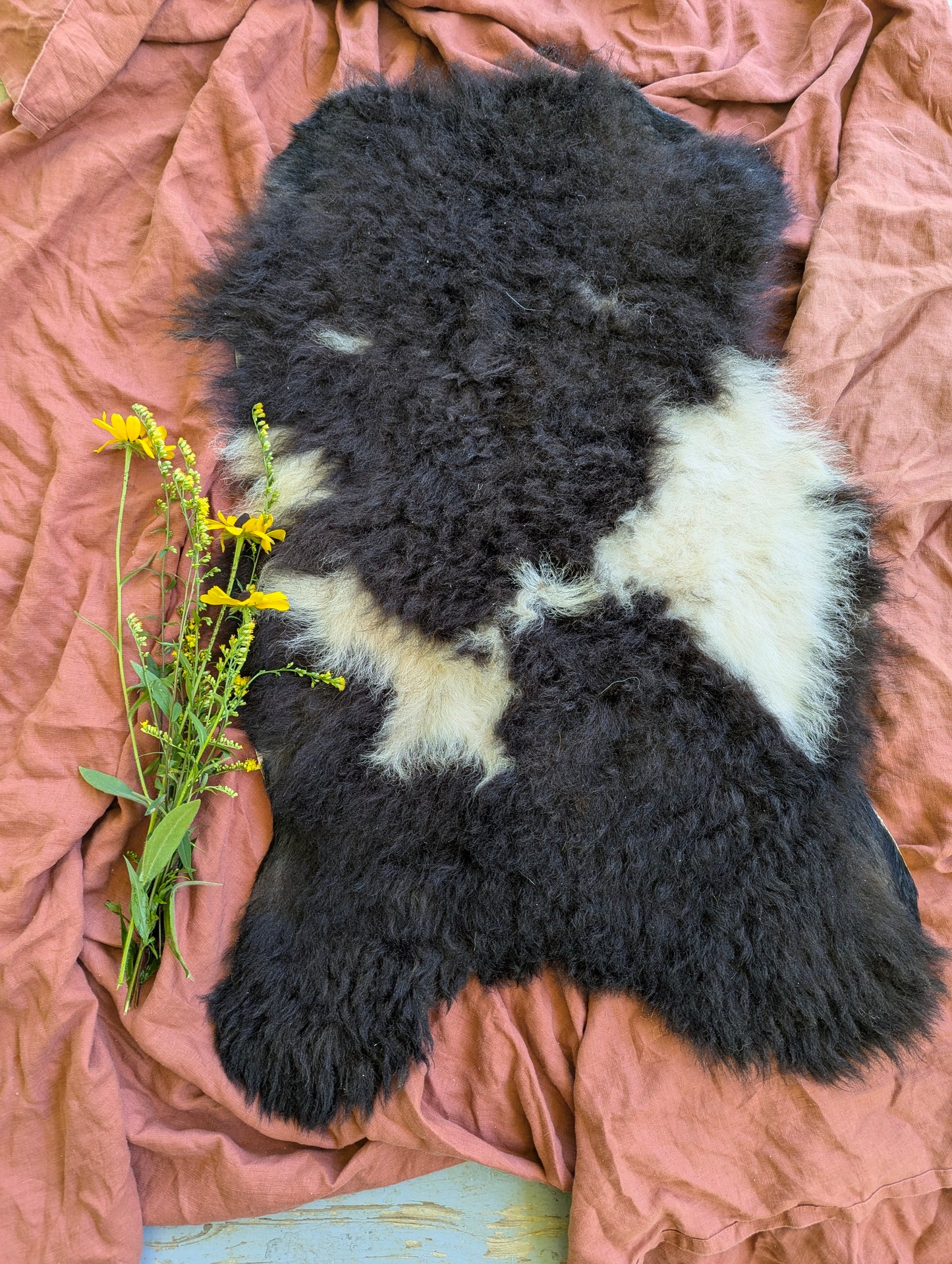 Sheepskin #7 - 16" x 28"