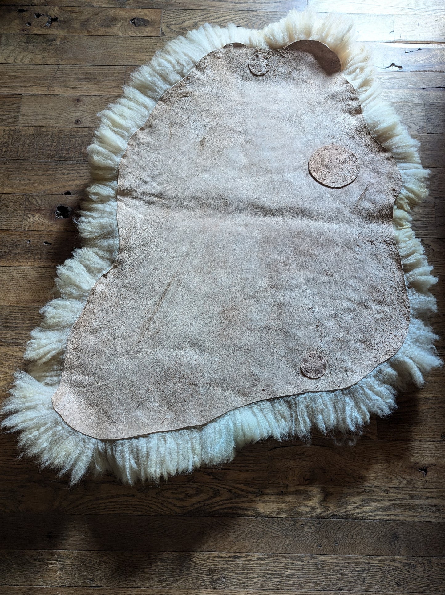 Sheepskin #2 - 22" x 30"