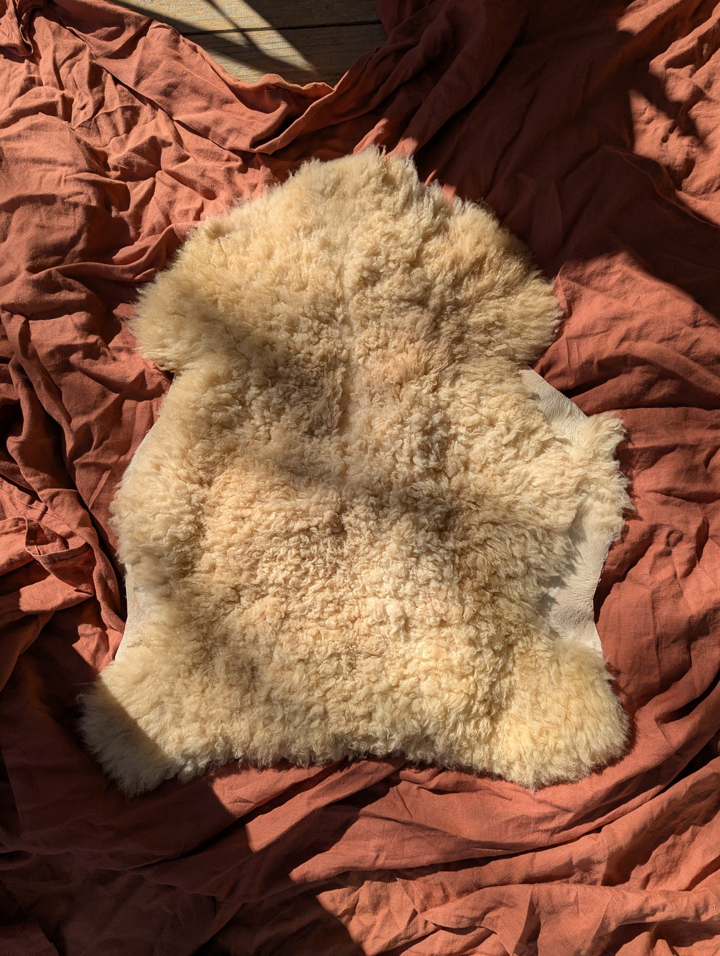 Sheepskin #4 - 23" x 27"