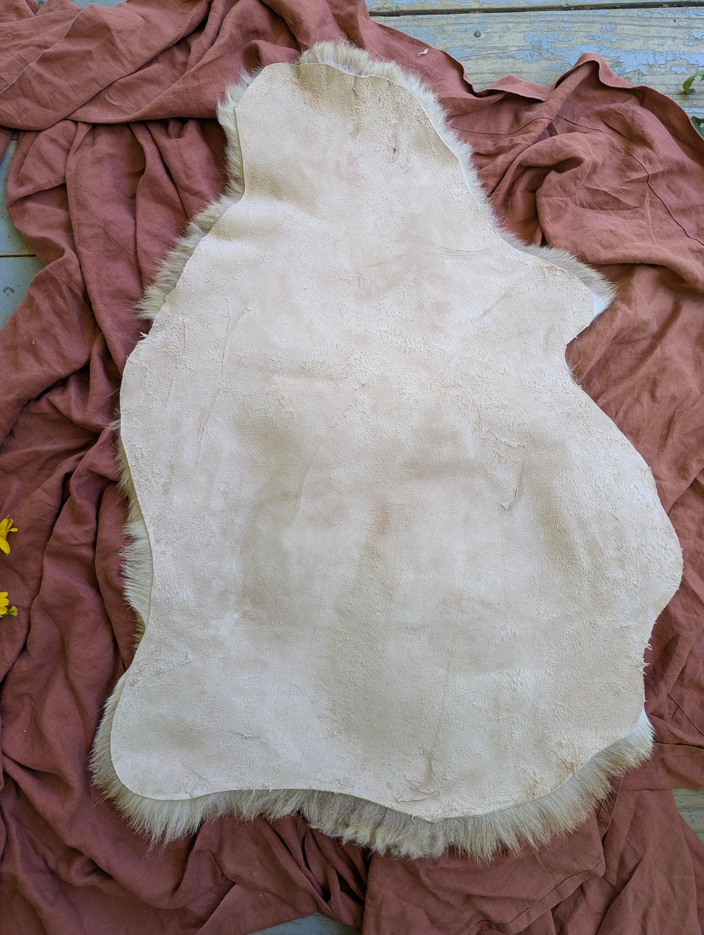 Sheepskin #2 - 21" x 32"