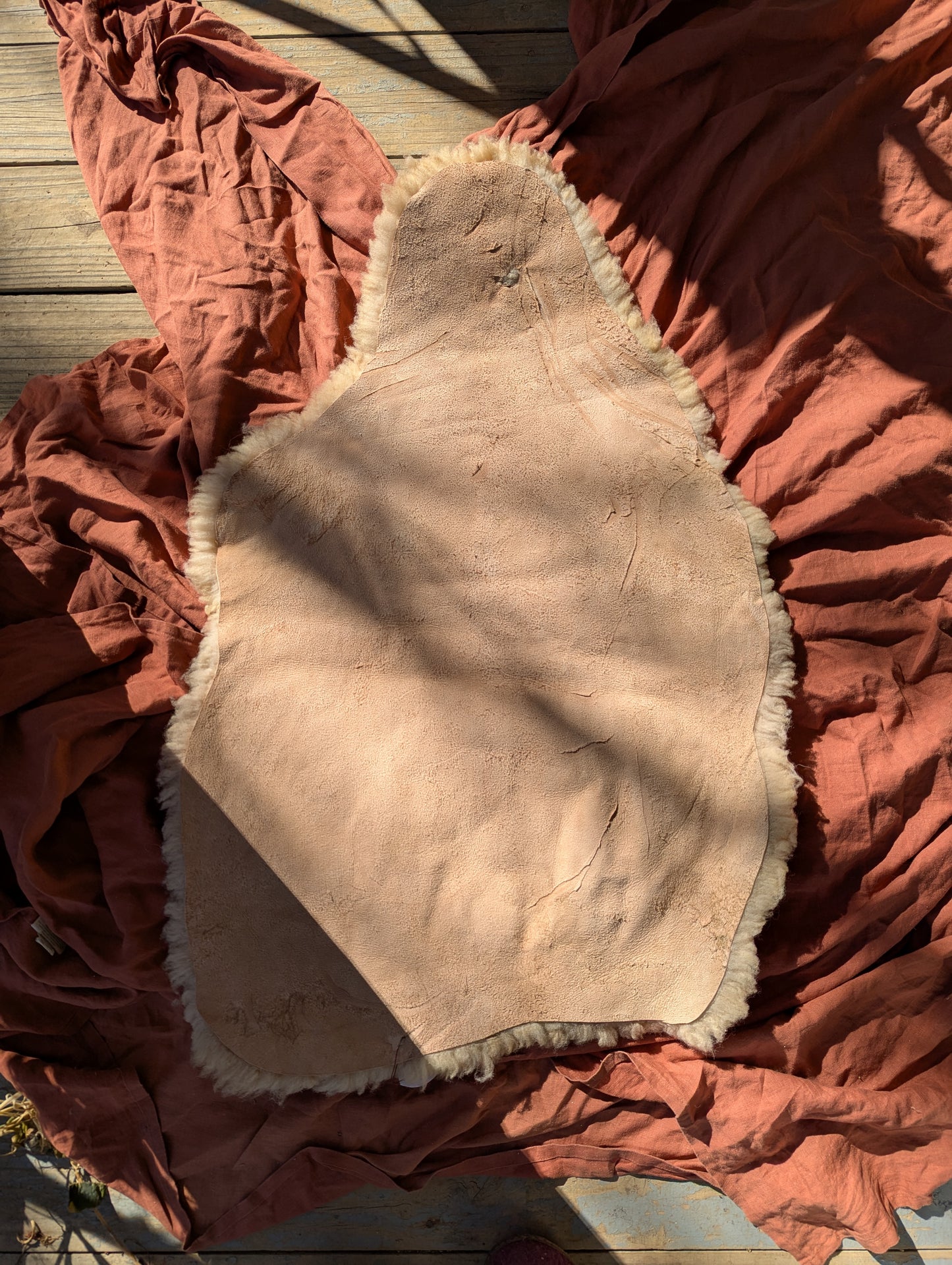 Sheepskin #5 - 22" x 34"