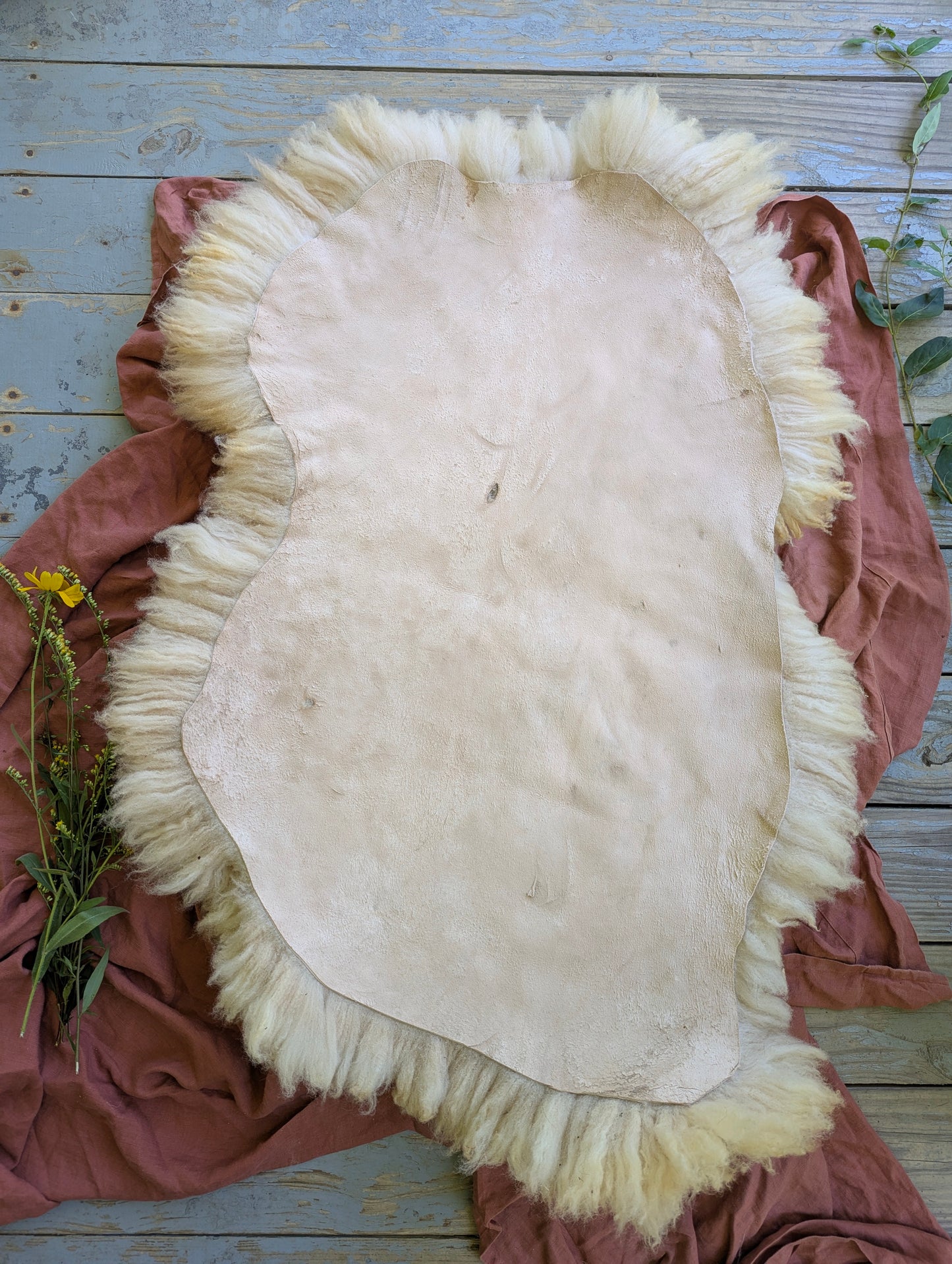 Sheepskin #1 - 20" x 34"