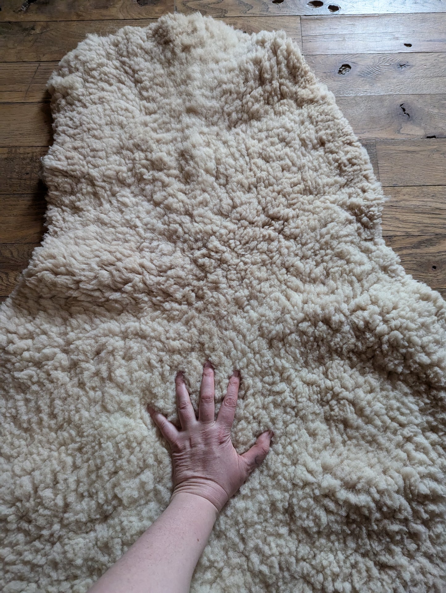 Sheepskin #4 - shearling