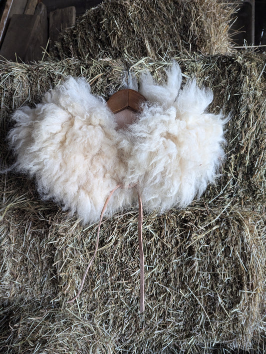 Sheepskin collar #7