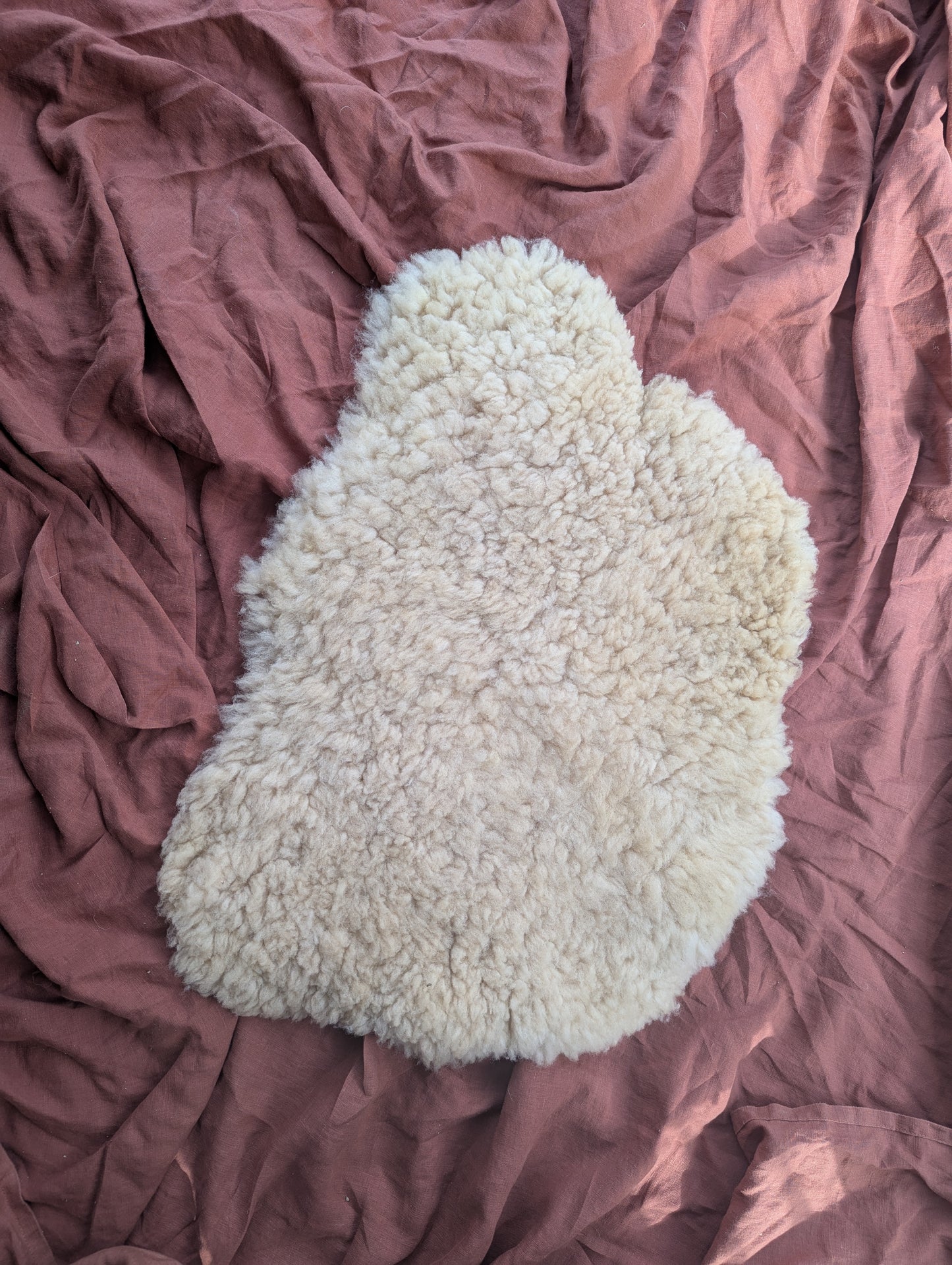 Sheepskin #1 - 16" x 24"