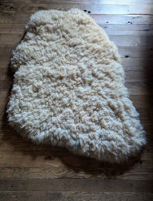 Sheepskin #2 - 22" x 30"
