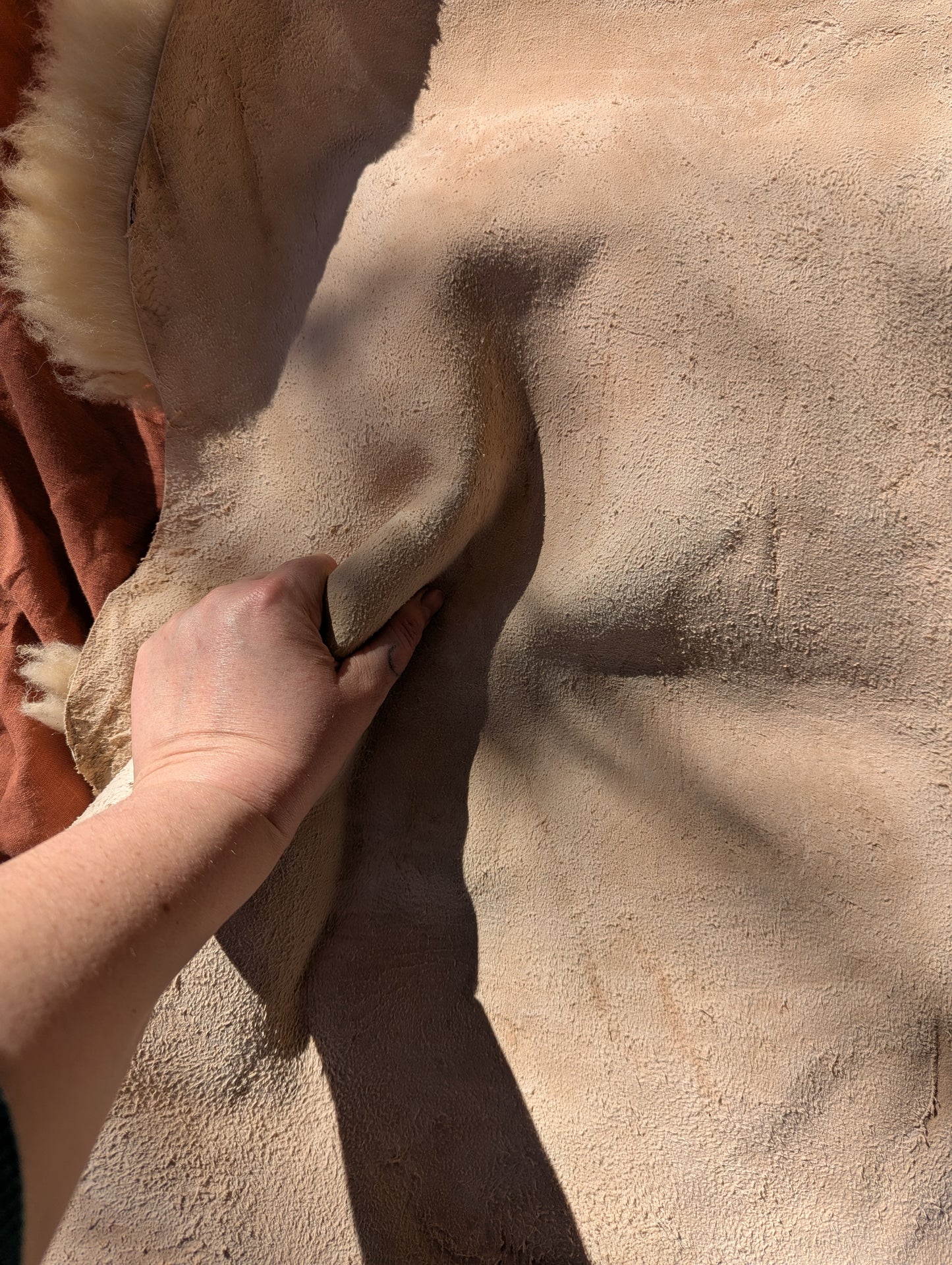 Sheepskin #4 - 23" x 27"