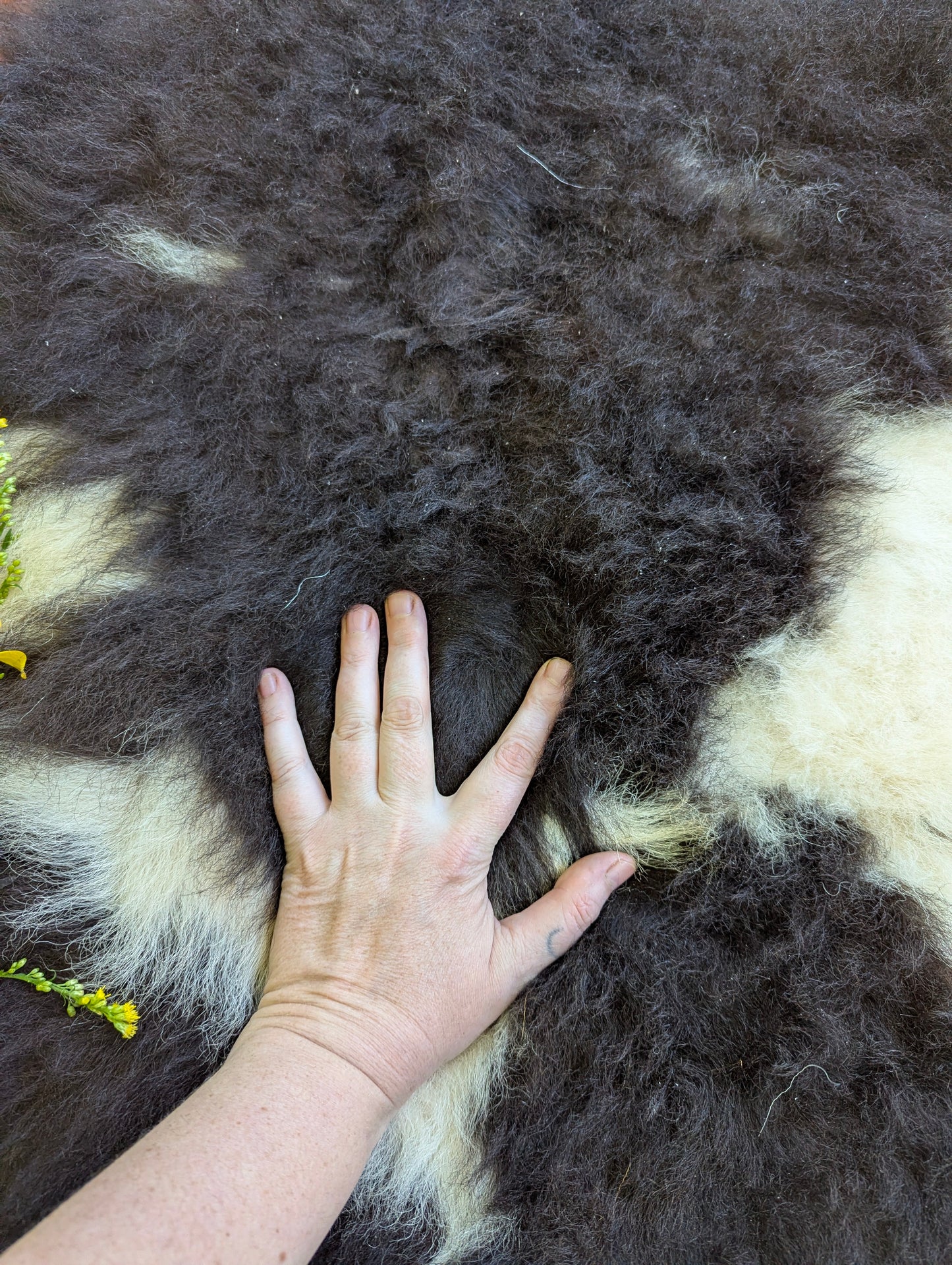 Sheepskin #7 - 16" x 28"