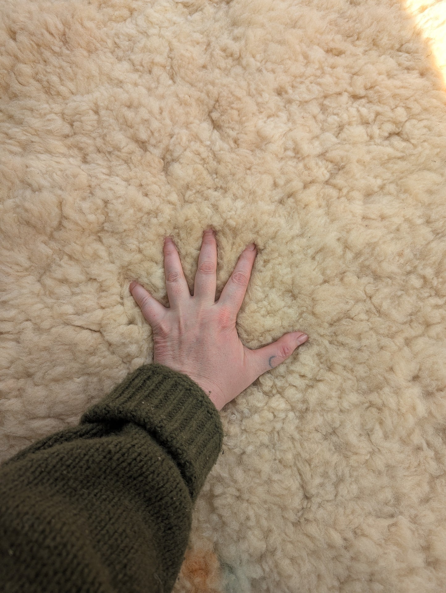 Sheepskin #3 - 25" x 39"