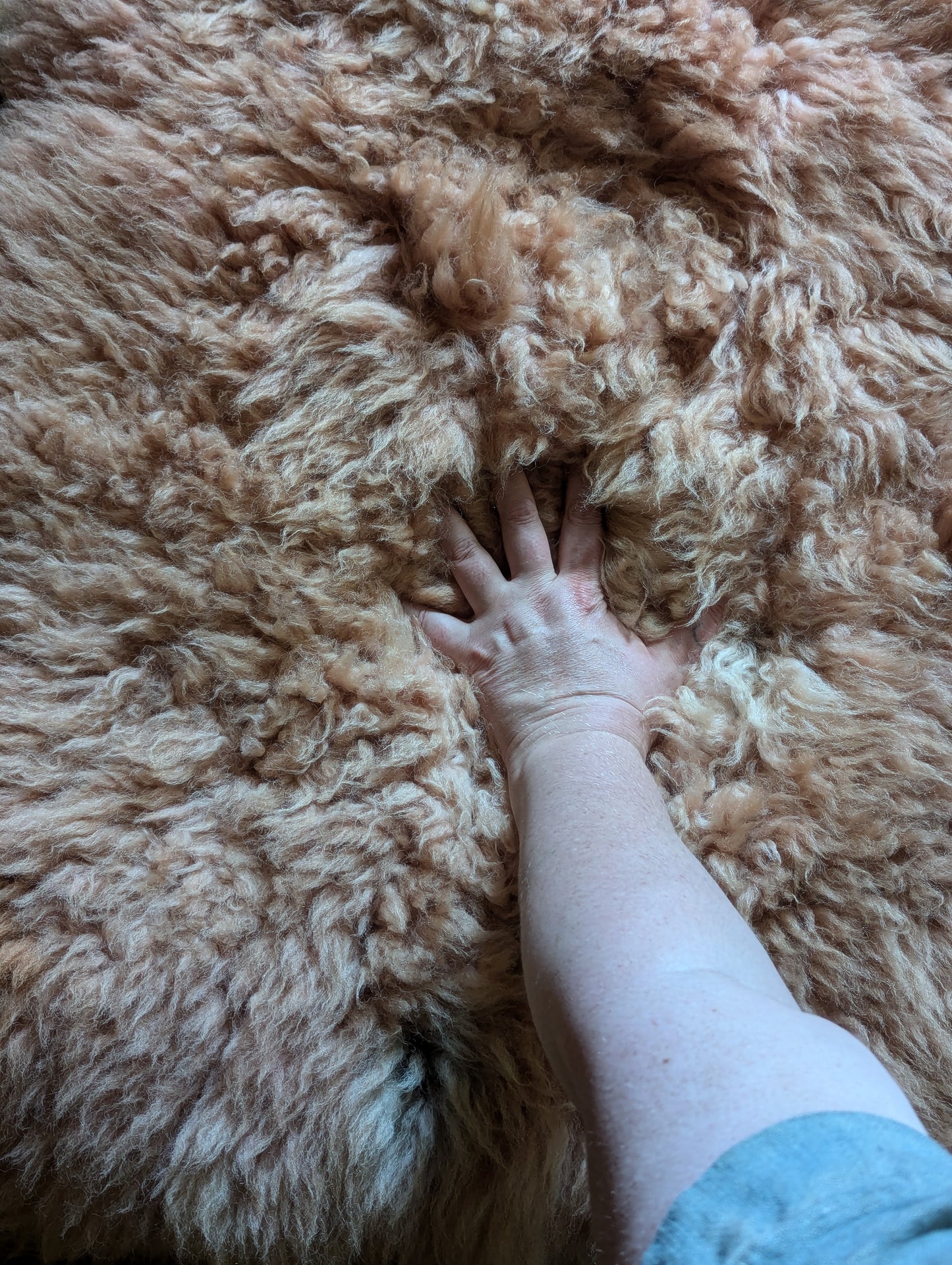 Sheepskin #3 - 26" x 28" madder