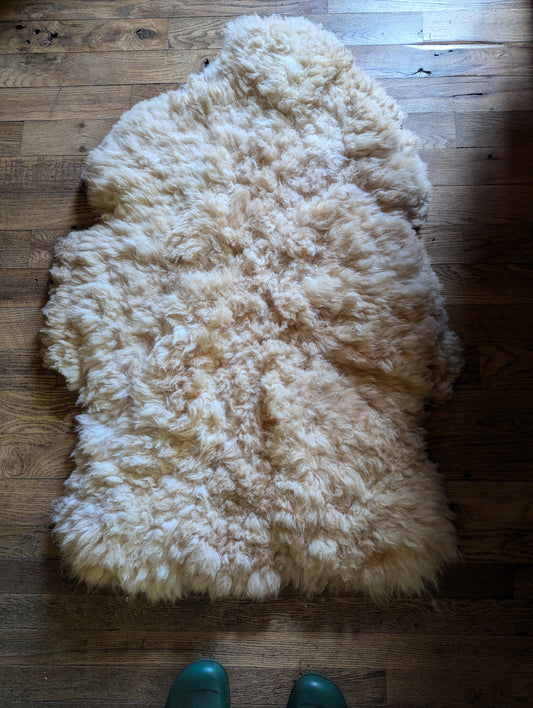 Sheepskin #1 - 27" x 41"