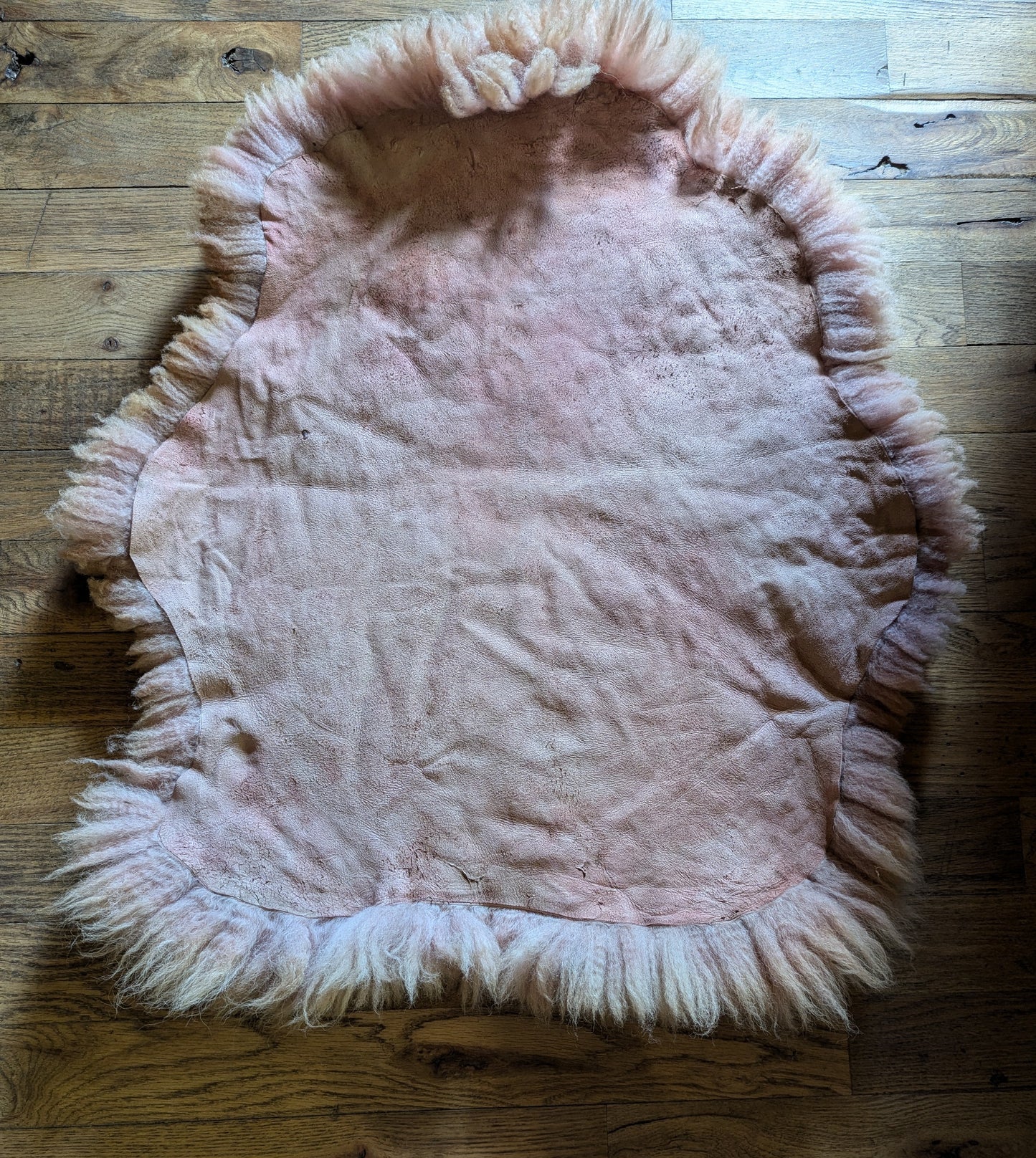 Sheepskin #3 - 26" x 28" madder
