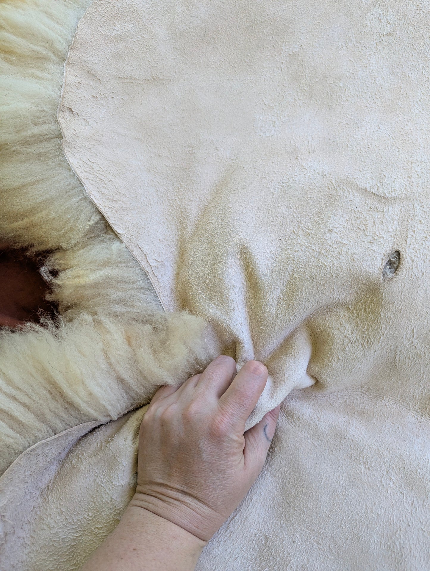 Sheepskin #1 - 20" x 34"