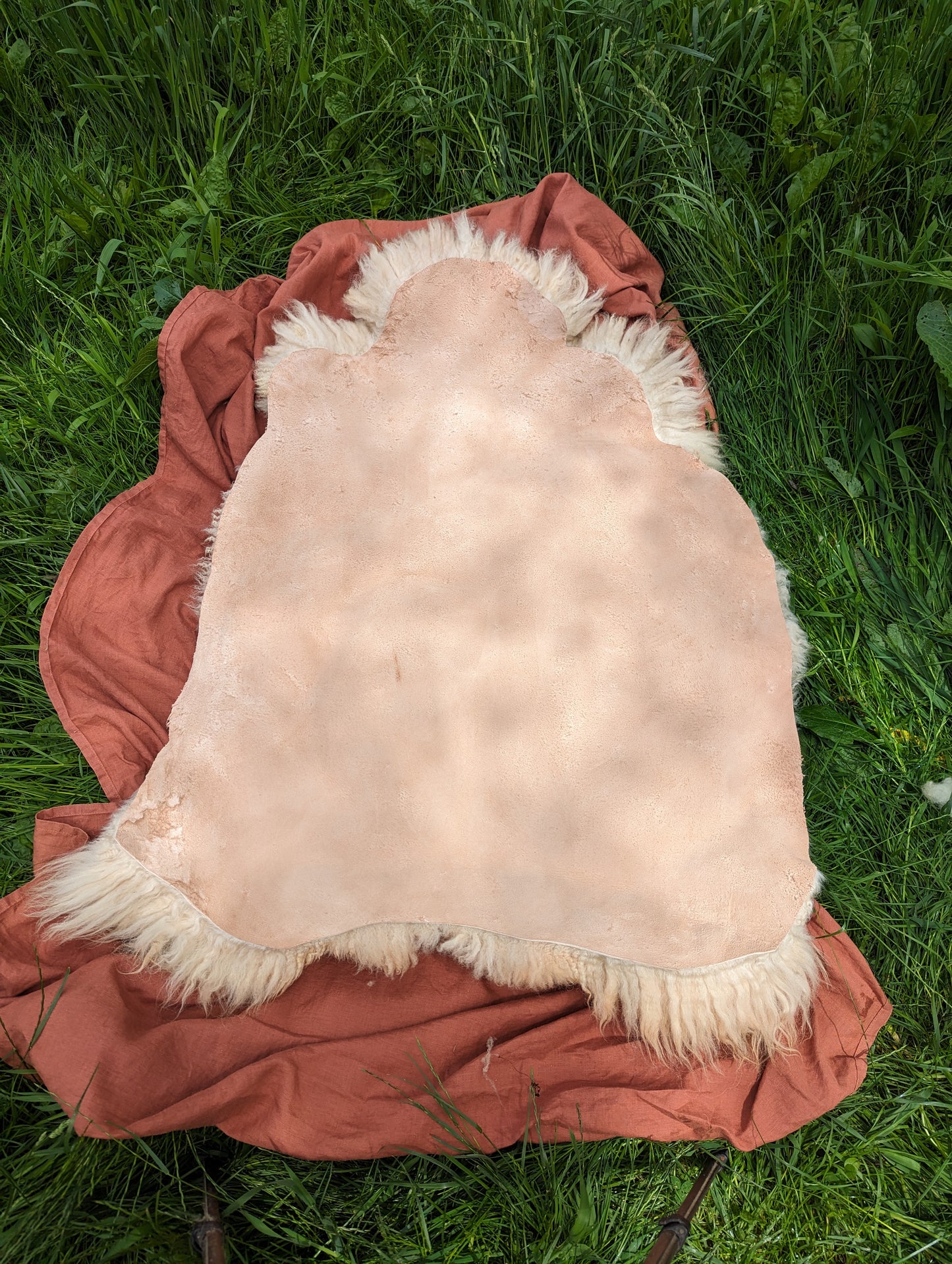 Sheepskin #5