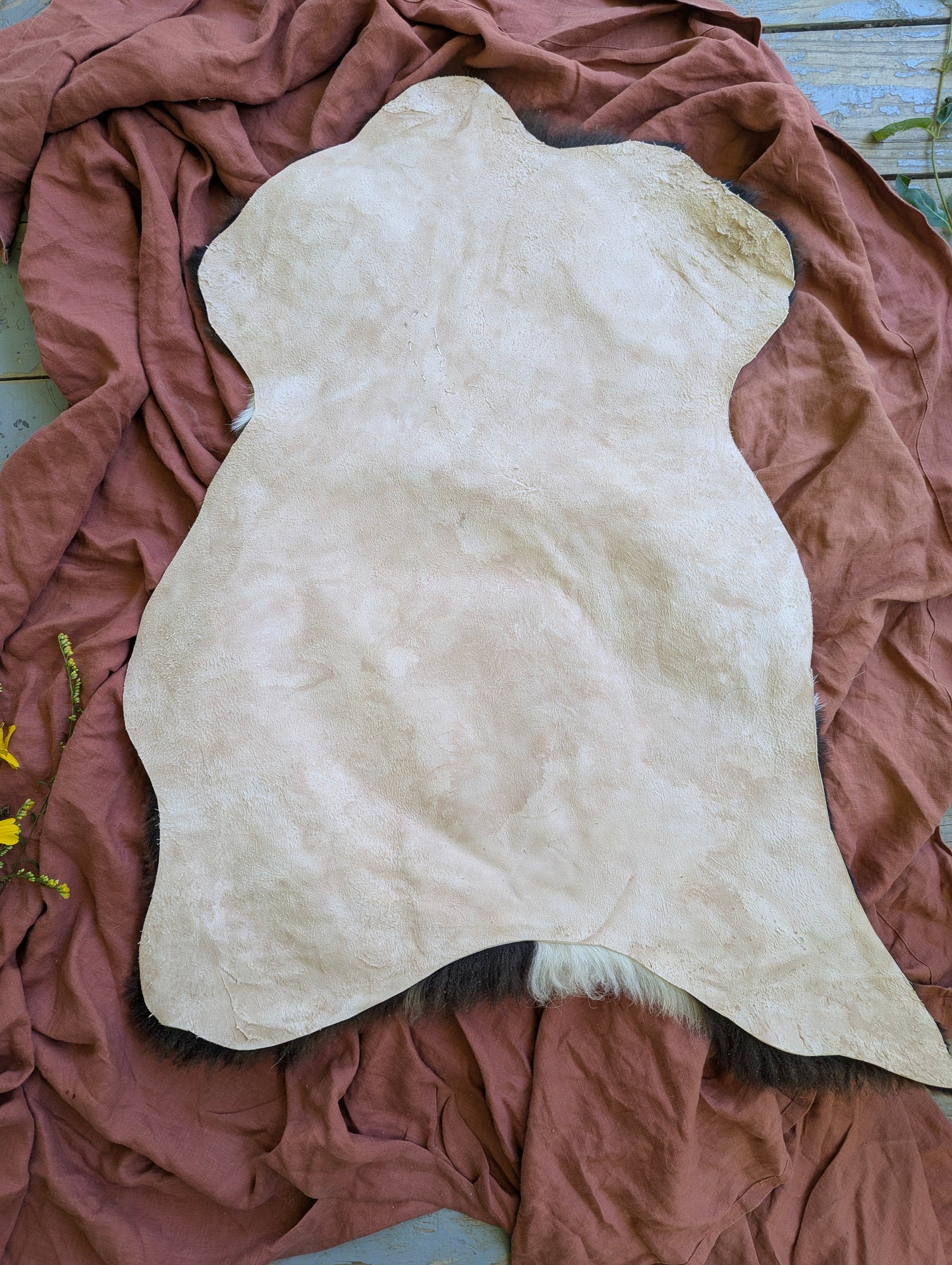 Sheepskin #5 - 20" x 29"