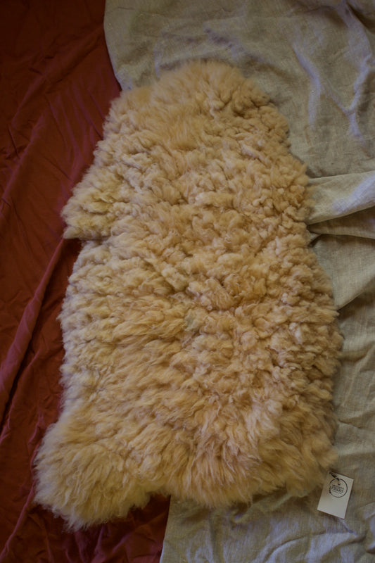 Sheepskin #1