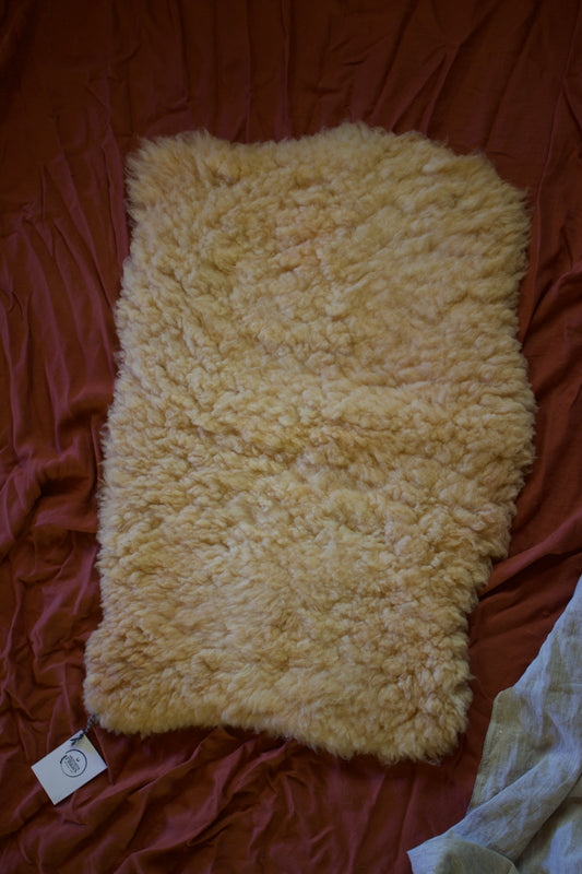 Sheepskin #2