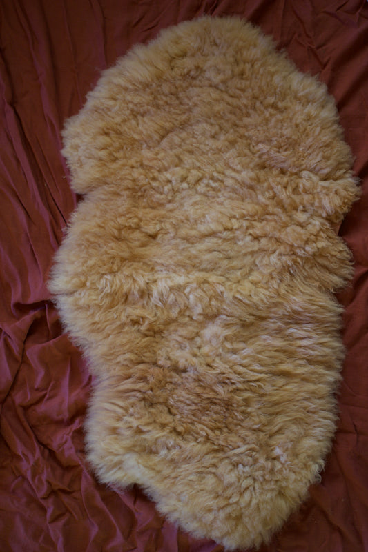 Sheepskin #3