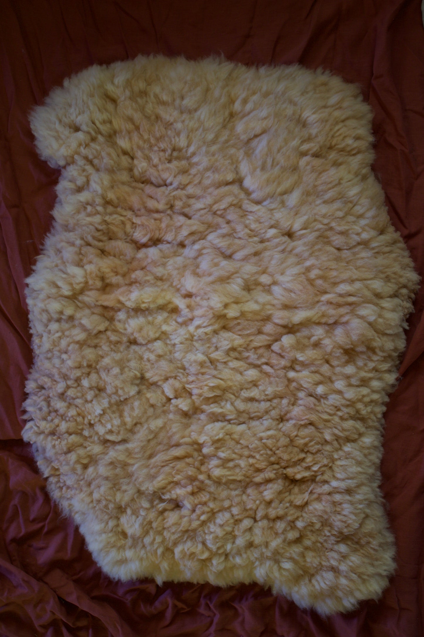 Sheepskin #5