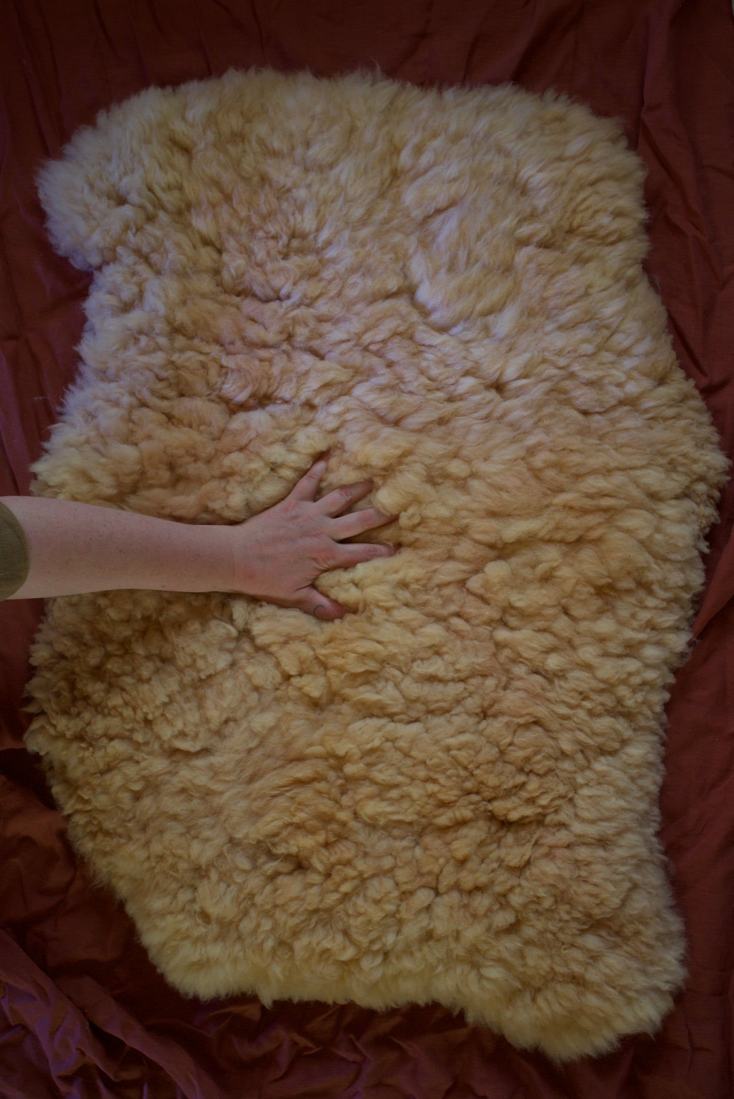 Sheepskin #5