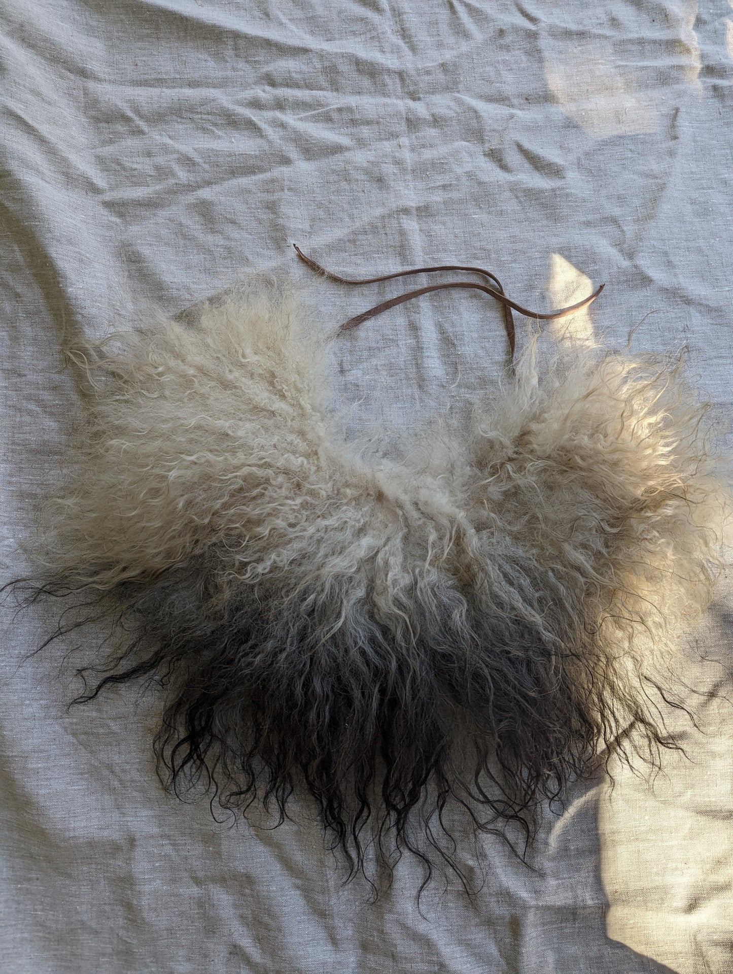 Sheepskin Collar #1