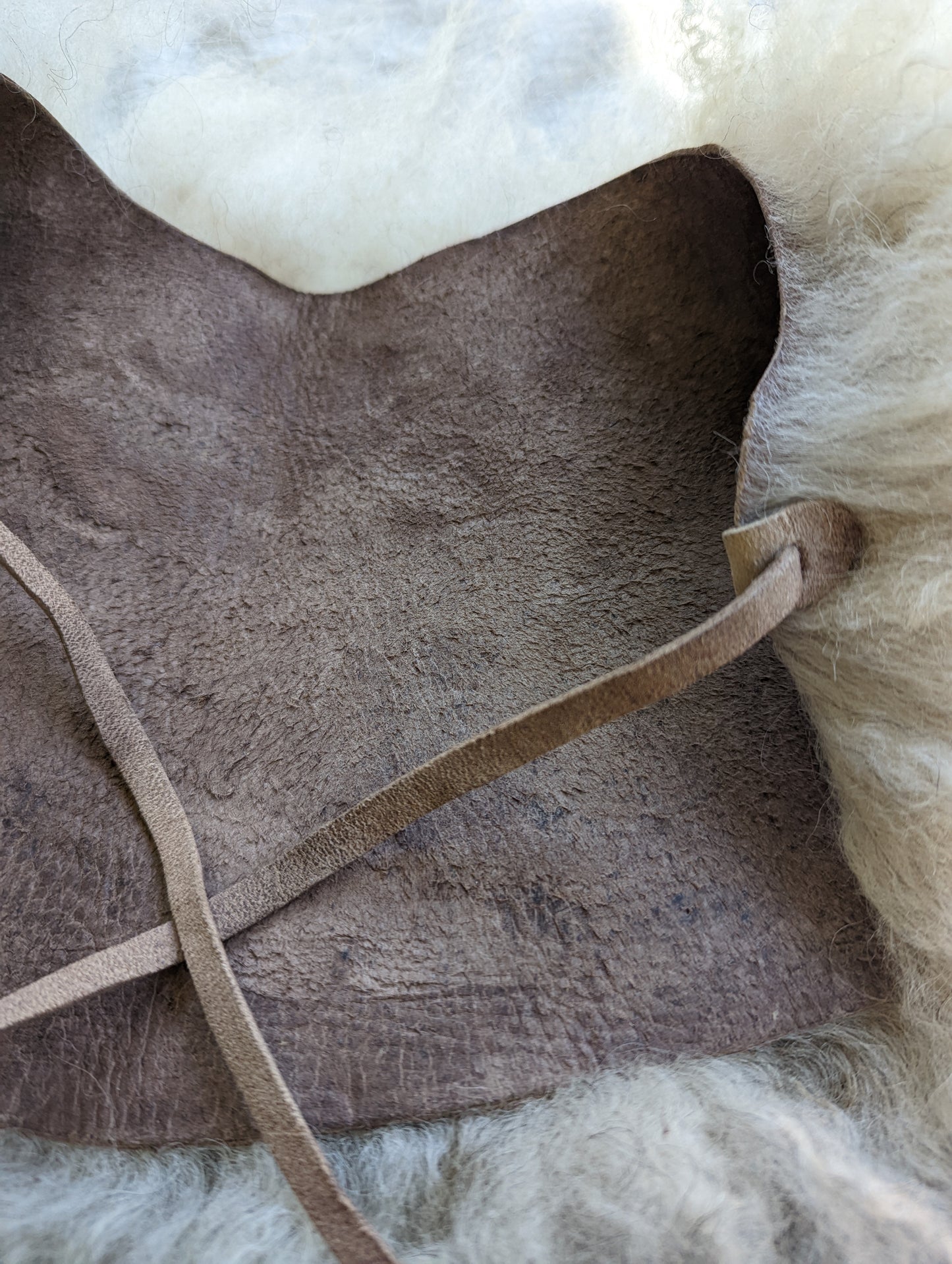 Sheepskin Collar #1